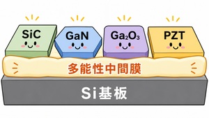 次世代半導体の「万能下地」。どの材料が伸びても使える多能性中間膜
