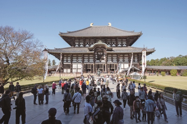 【奈良県みんなでたのしむ大芸術祭】世界遺産から街なかまで どこでもアートを満喫!「アート展示」