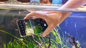 スマホに20万は出せない人に朗報！ 約10万円で全部入りのarrows Alpha2が超強力すぎた