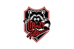 プロeスポーツチームCrazy Raccoon、スポンサーがゼロに　「実は目標だったの」
