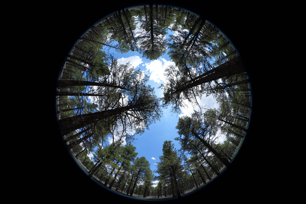 ソニーが魚眼ズームレンズ「FE 8-14mm F3.5 Fisheye G(SEL814G)」を発表