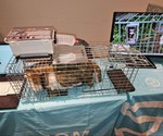 I wanna IoT罠 version2！ 狩猟罠の遠隔操作デバイス第2弾を Discovery 2026 プロトタイピングコーナーで展示しました！