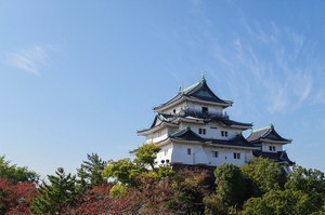 【決定版・秀長の四国攻め】大河ドラマ『豊臣兄弟！』で描かれる隠れた天王山！ 秀長が初めて本格的な大軍の総大将を務めた"おすすめ"スポットベスト5 