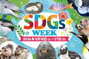 生物の生態と環境保全を体験しながら学ぼう！横浜・八景島シーパラダイス『シーパラ SDGs WEEK』開催！