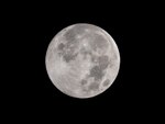 【決定版・京都と大阪のお月見絶景】今年の十五夜（9月25日）を見逃すと来年まで待てない！ 天下人・豊臣秀吉が愛した伏見の月と歴史を巡る極上スポットベスト5 