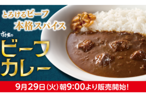 おや、すき家のカレーが本格派に！ 牛肉入り「ビーフカレー」850円