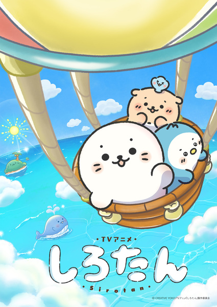 『しろたん』