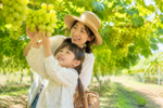 【決定版・関東の味覚狩り】10月に旬を迎える味覚狩りスポットベスト5！ 関東・山梨エリアの豊かな自然で秋の味覚を堪能する  
