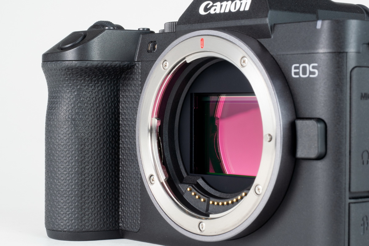 「EOS R8 Mark II」実写レビュー