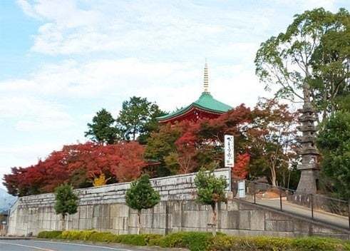 幻想の三夜、如意輪寺「楓光会」紅葉ライトアップイベントが開催